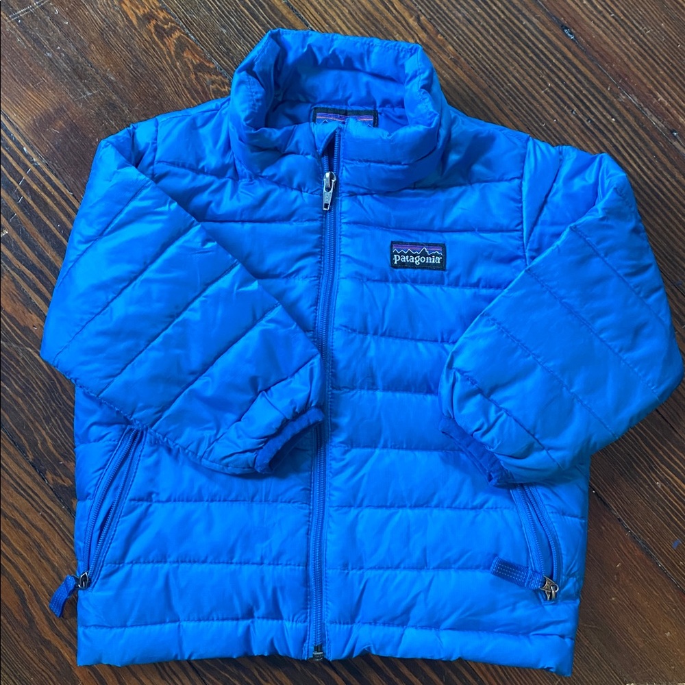 Patagonia Vibrant Blue Quilted Jacket